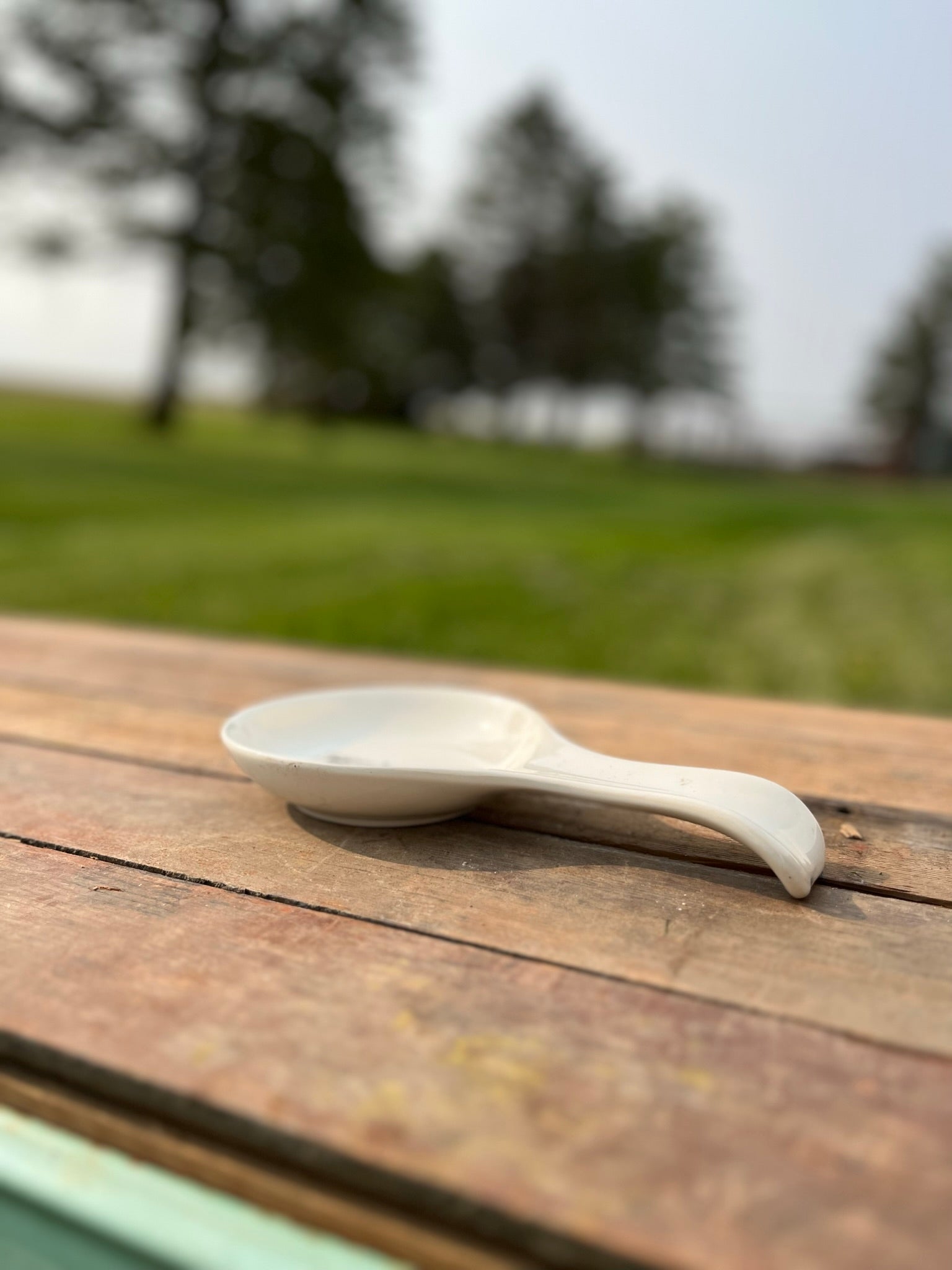 Farm Ranch Cattle Dish Spoon Rest – The Branded Barn