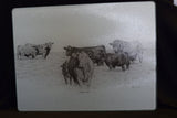 "A Good Start" Cattle Tempered Glass Cutting Board