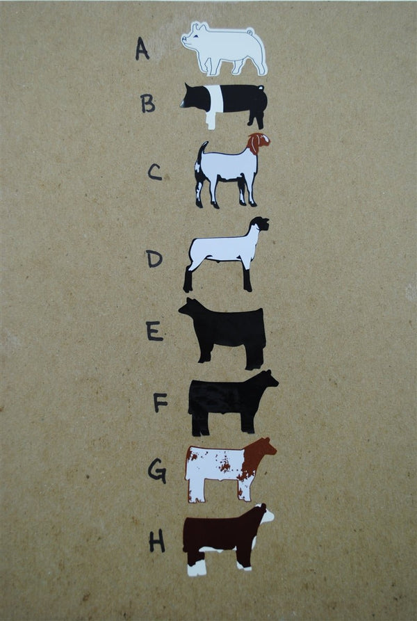 Bulk Pack Livestock Stock Show Stickers - The Branded Barn