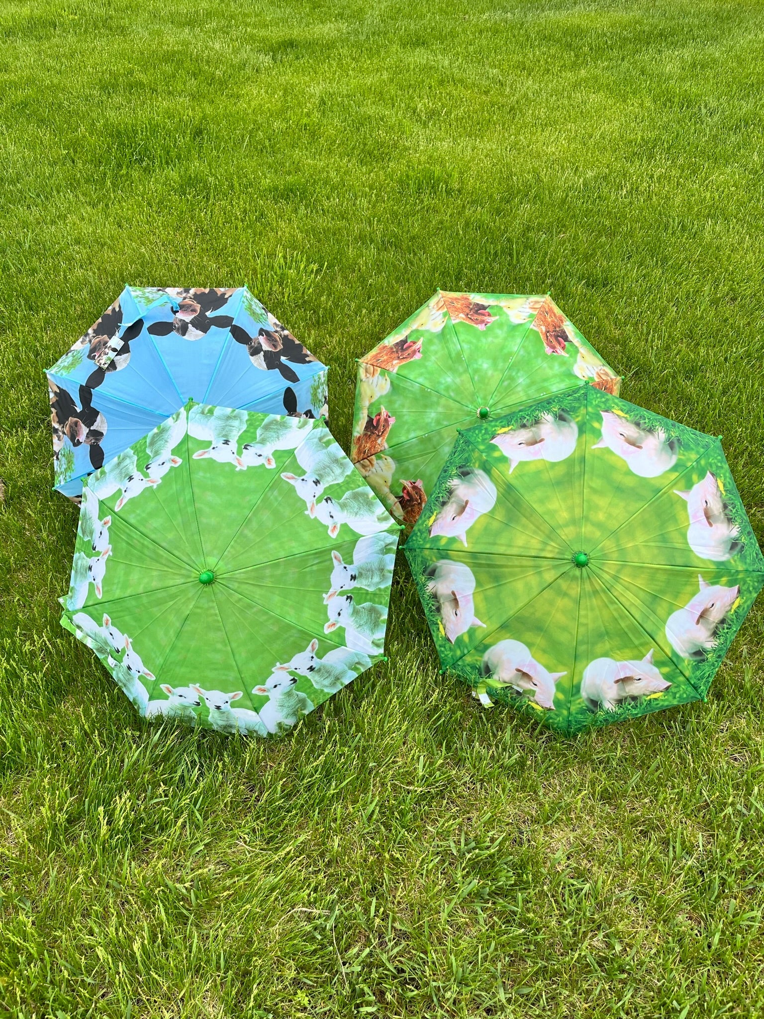 Children's Farm Animal Umbrella The Branded Barn