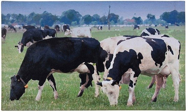 Dairy Cow Holstein Doormat Rug - The Branded Barn