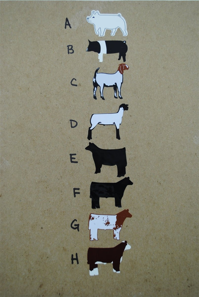 Livestock Stock Show Stickers Steer Heifer Pig Goat Lamb Pack of 5 Decals - The Branded Barn