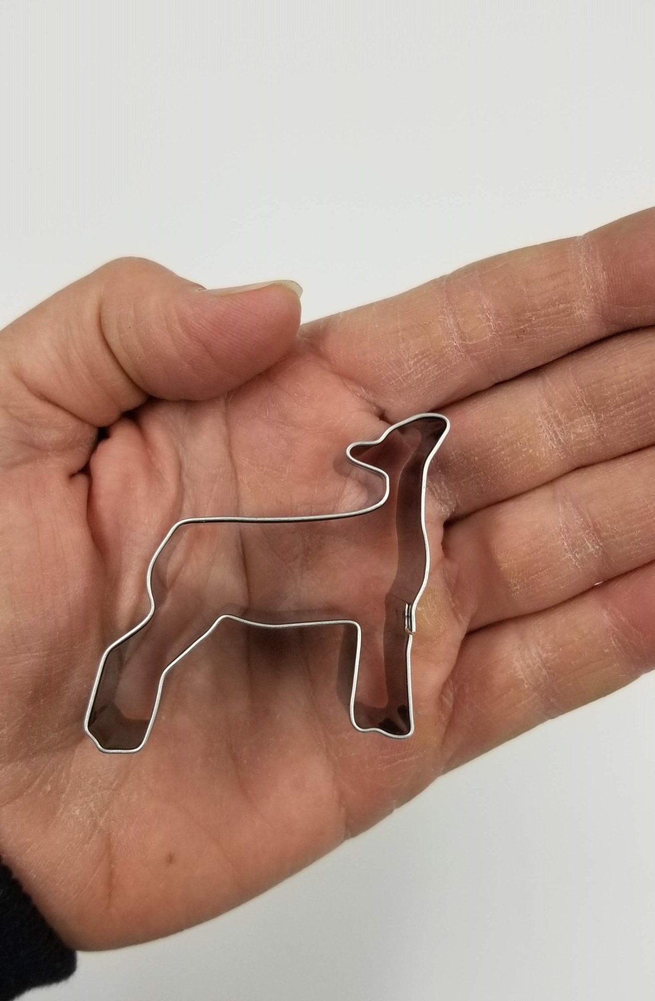Mini Livestock Cookie Cutters, Set of 5 includes Show Steer, Pig, Lamb