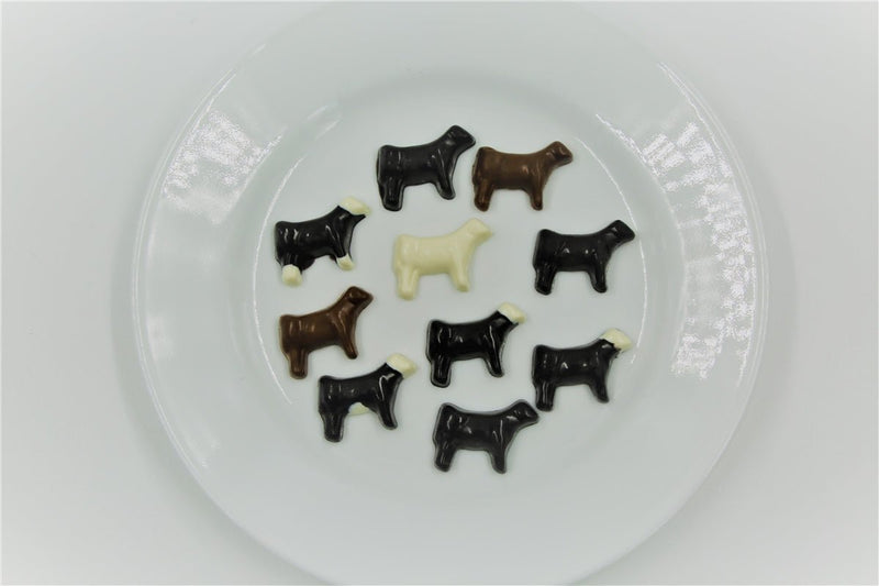 https://thebrandedbarn.com/cdn/shop/products/silicone-show-steer-candy-mold-pack-of-2-901089_800x.jpg?v=1696297680