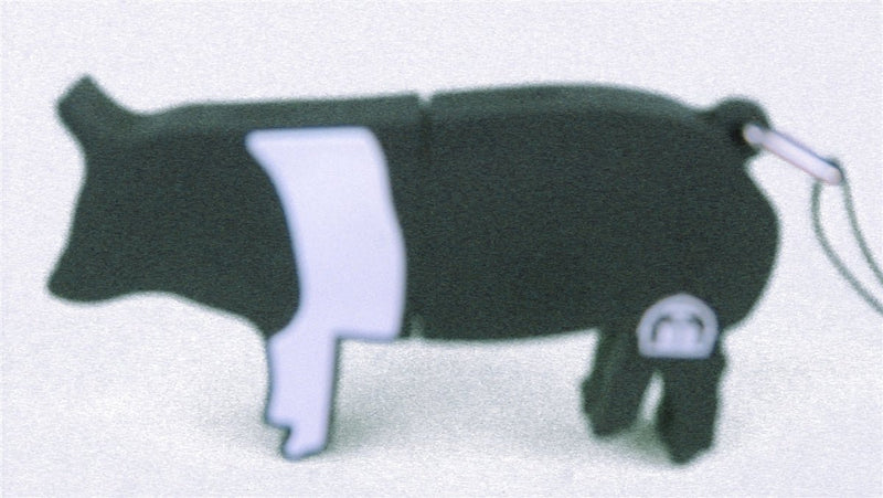 USB Flash Drive - Hampshire Pig 8 GB - The Branded Barn